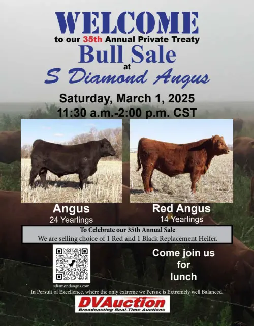 Annual private treaty bull sale poster